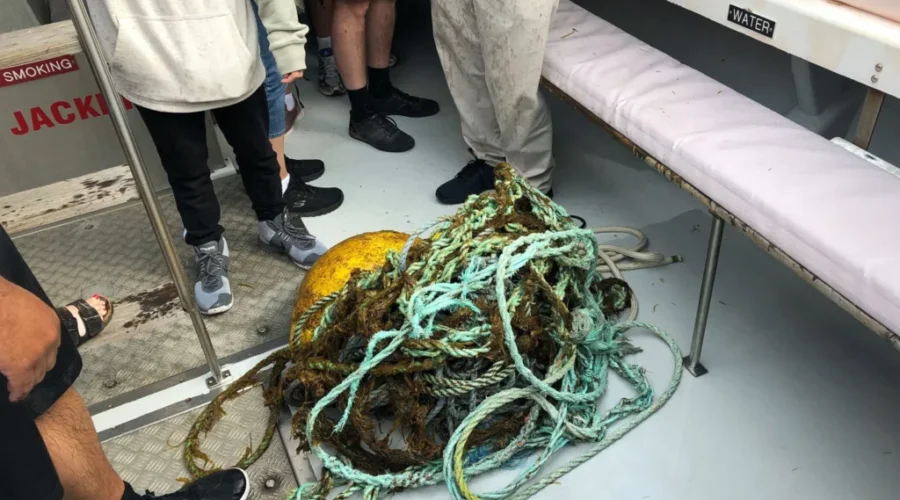 Lunenburg Vessel Helps Rescue Humpback Whale