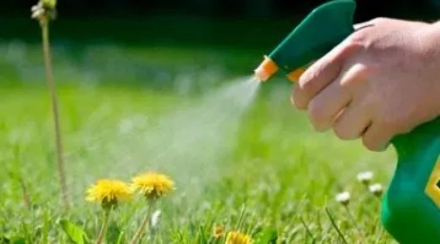 Maritime Forestry School Fires Employees