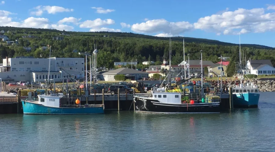 New Lease On Life For Alma: Mayor