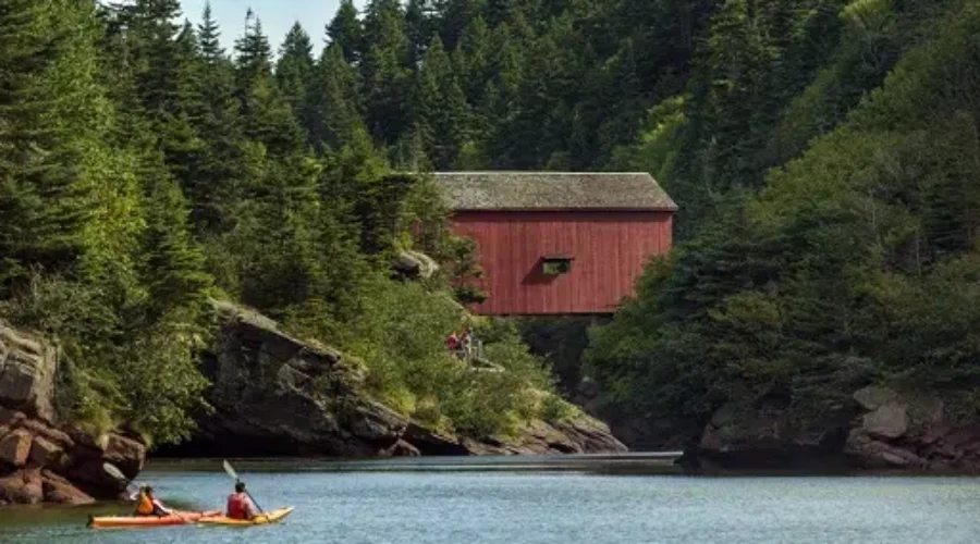 Rescue Operation At Fundy National Park