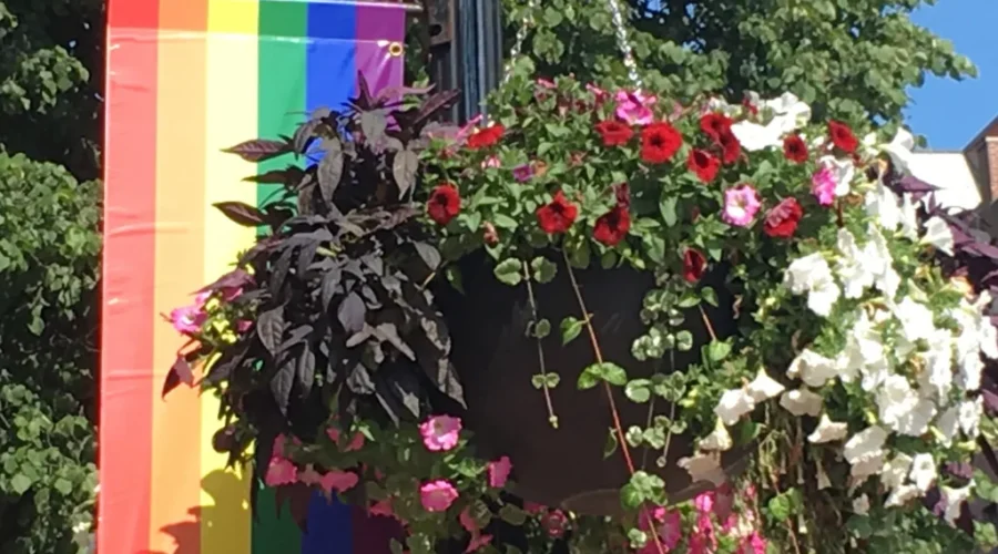 Cream of the Crop: Ten LGBTQ Titles to Stream for Pride