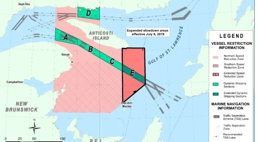 Two Coast Guard Ships Among Vessels Fined In The Gulf