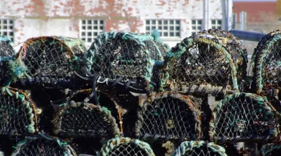 Many Lobster Fishermen Back On The Water After Dorian