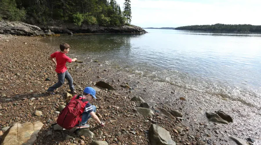 NCC Quiz Aims To Create More Nature Lovers