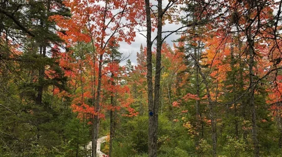 Autumn Starting To Show Its True Colours