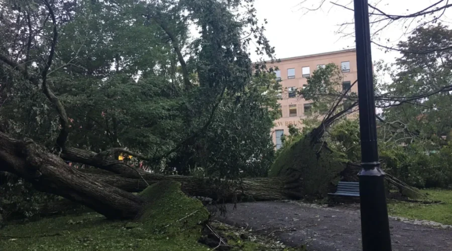 Power Outages Continue After Dorian