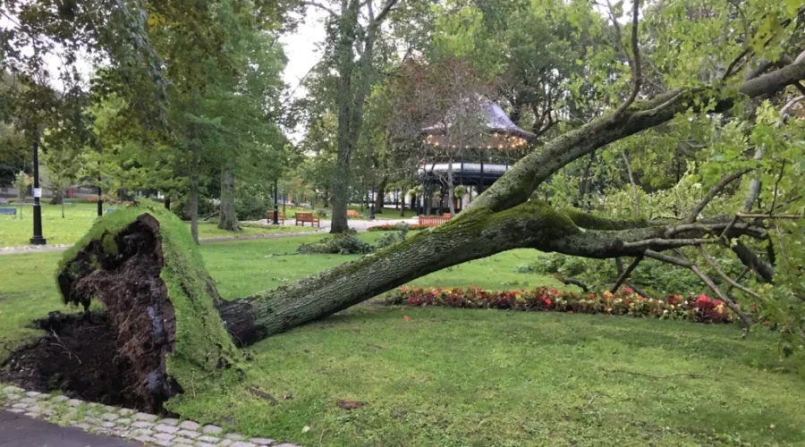 Crews Begin To Clean Up From Dorian