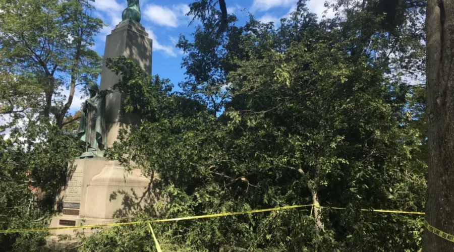 Storm Cleanup Will Take A Couple Of Weeks: City