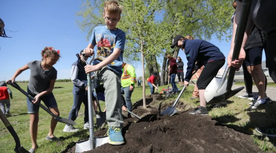 Tree Canada Celebrates The Benefits of Trees