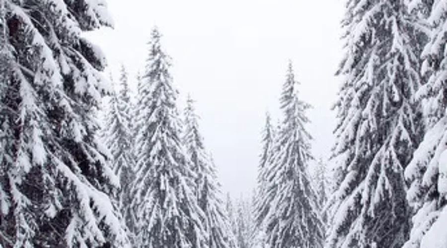 NB Winter Will Start Mild – Accuweather