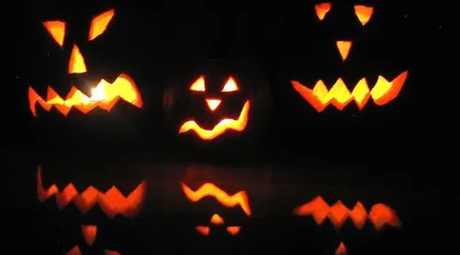 Halloween Trick Or Treat Survey