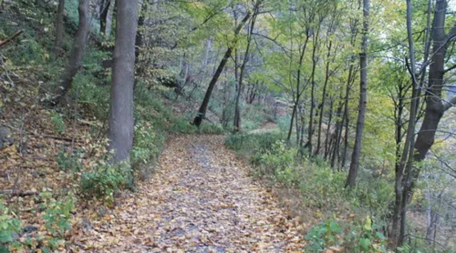 N.B. Trails Council To Close Its Doors