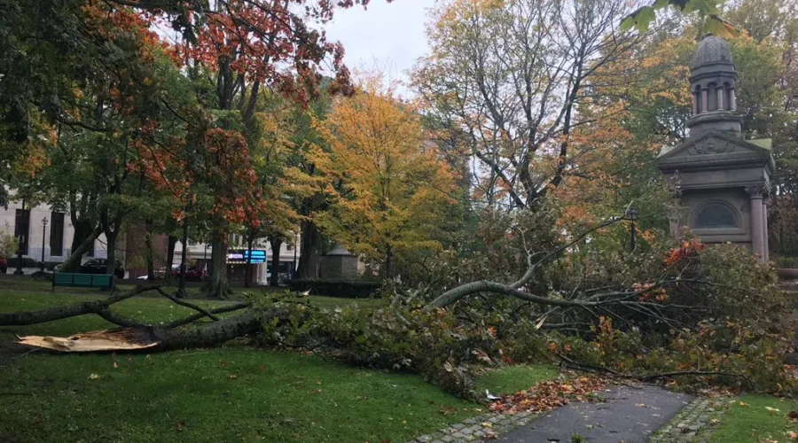 High Winds Cause More Damage In King’s Square