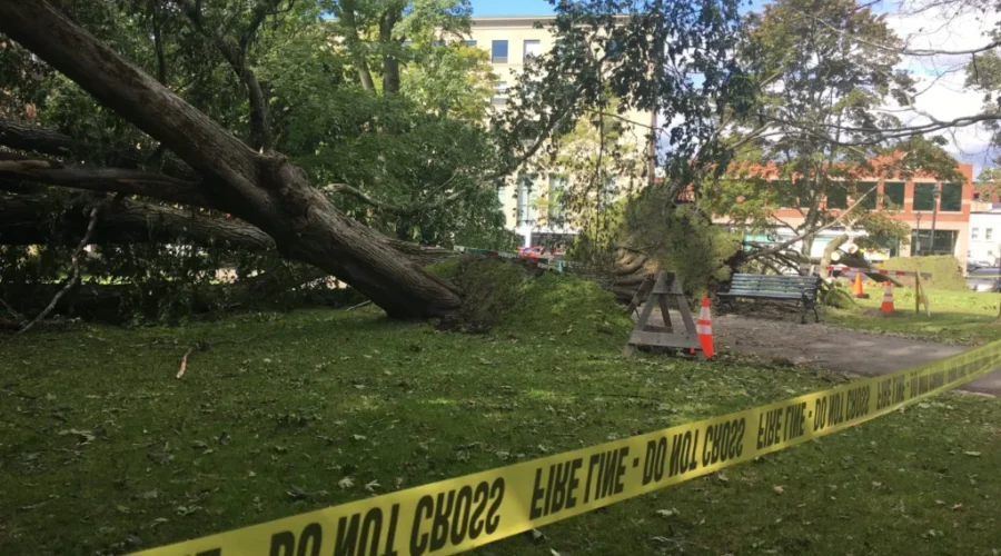 Dorian Insurance Claims Top $105M