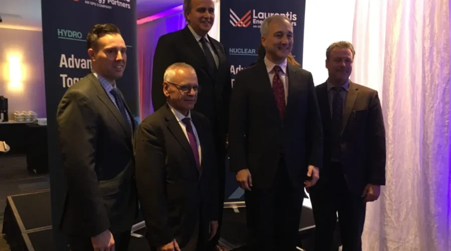 Laurentis Opens Office In Saint John