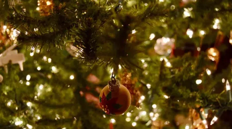 Happy Holidays From CHSJ News