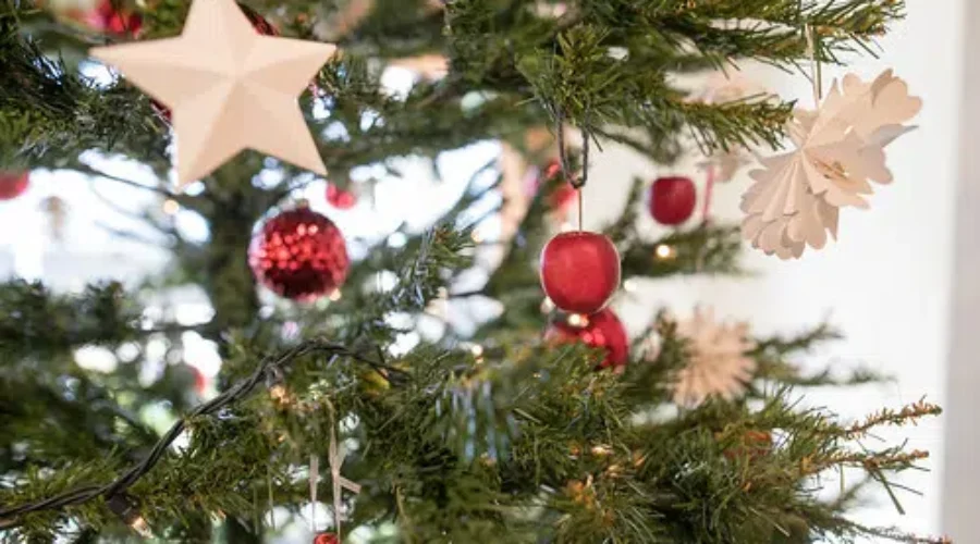 Christmas Tree Drop-Offs In Greater Saint John
