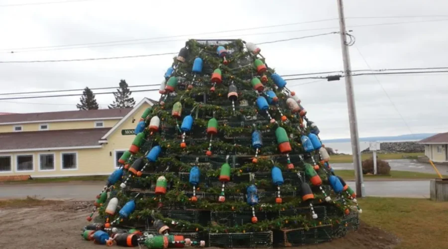 New Lobster Trap Christmas Tree Tradition For Alma