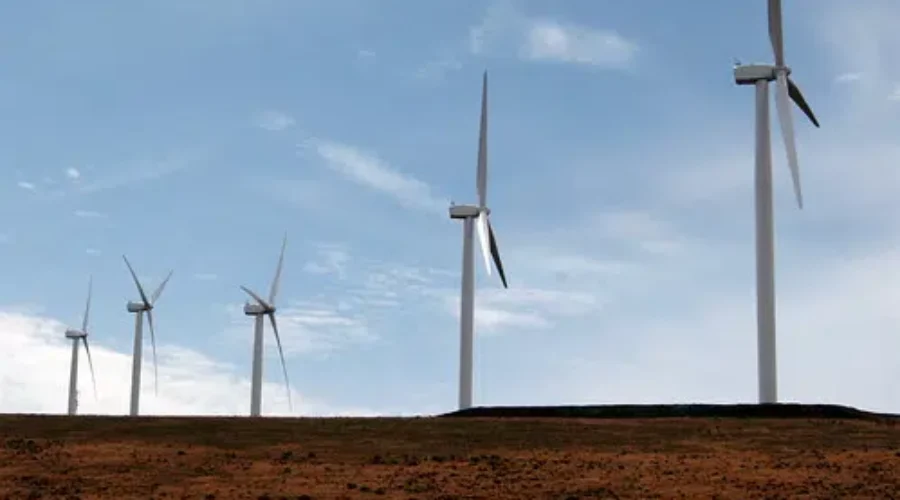 Saint John Forum Will Showcase Offshore Wind And Tidal Power Opportunities