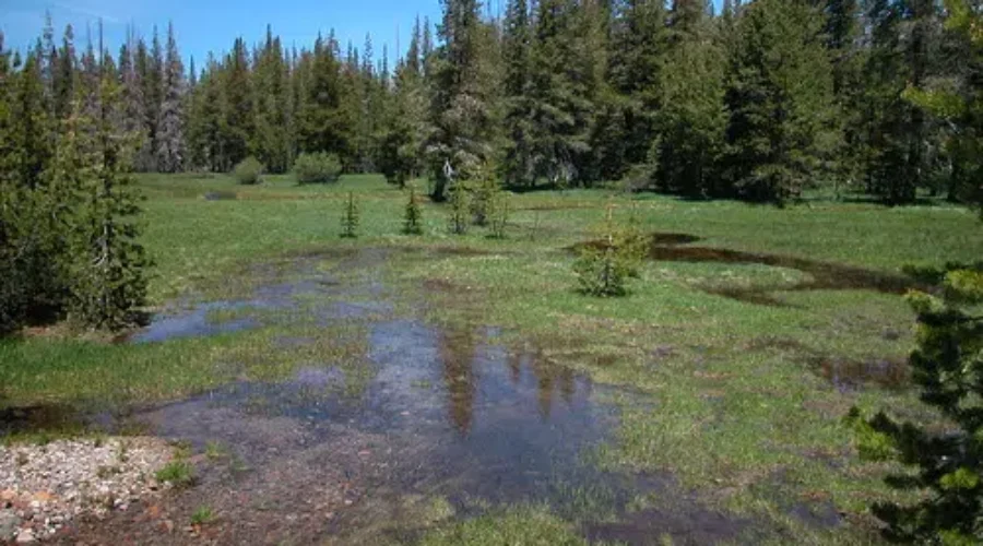 New Online Watercourse, Wetland Alteration Reference Map