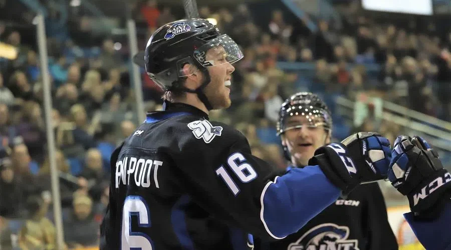 Sea Dogs Sign Free Agent