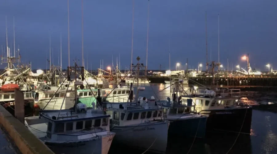 Fisheries Minister Says ‘Moderate Livelihood’ Being Defined