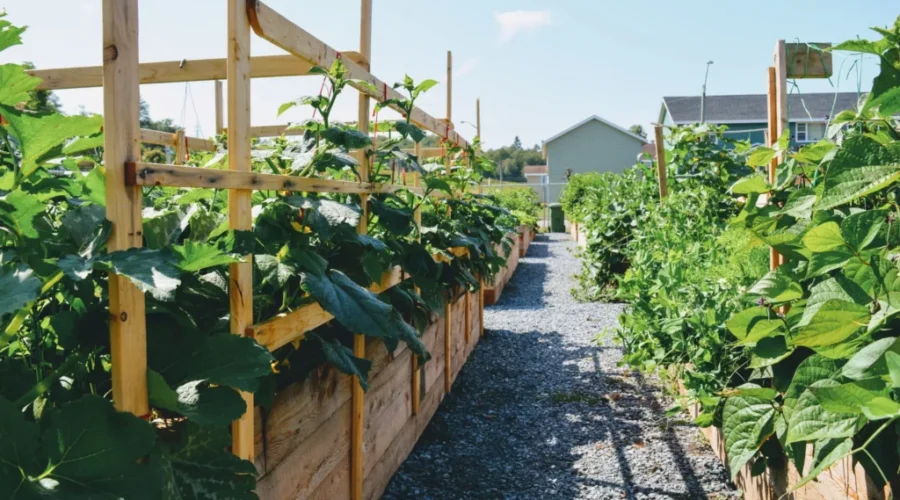 The Growing Place Keeps Growing