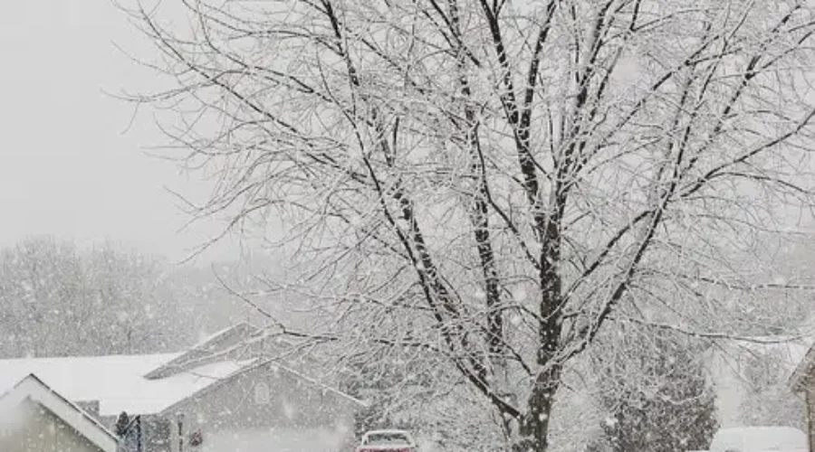 UPDATE: Snowfall Warning For Most Of N.B.