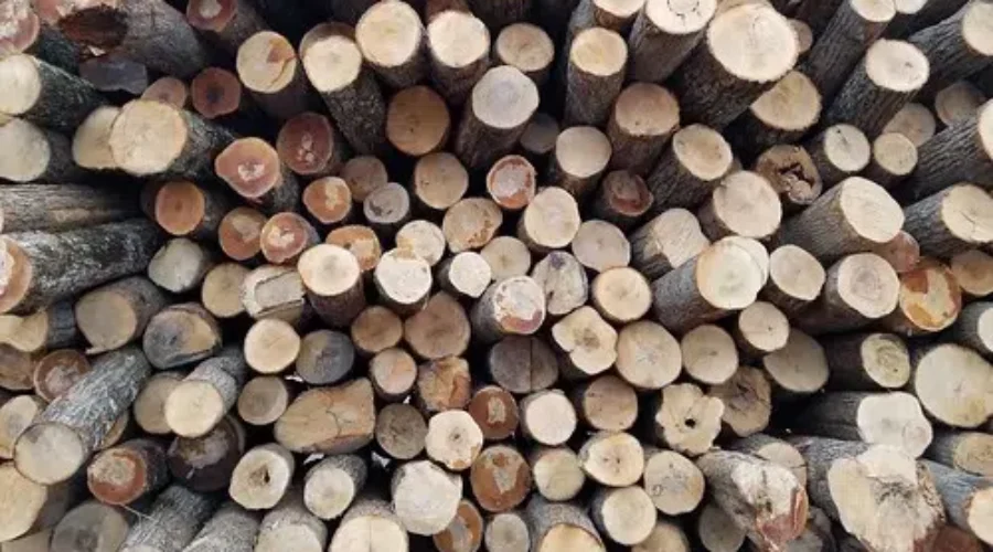 Lumber Producers Want To See USMCA Ratified