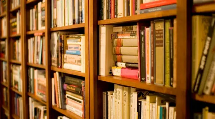 Liberals Criticize Hiring Of N.B. Library Director