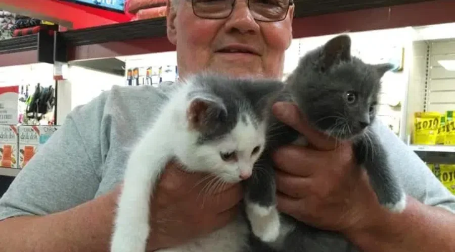 Saint John Man Raises $18K For Stray Cats