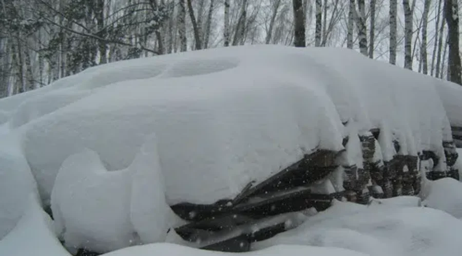 A Winter Reminder Coming Friday