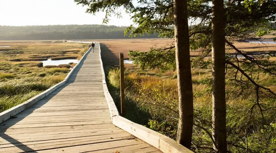Irving Nature Park, Wolastoq Park Temporarily Closed
