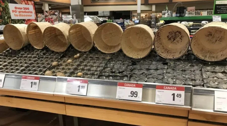 Maritime Supply Chain Strong, Despite Panic Buying