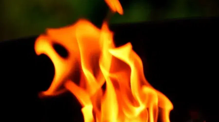 20 Firefighters Responded To Peninsula Brush Fire