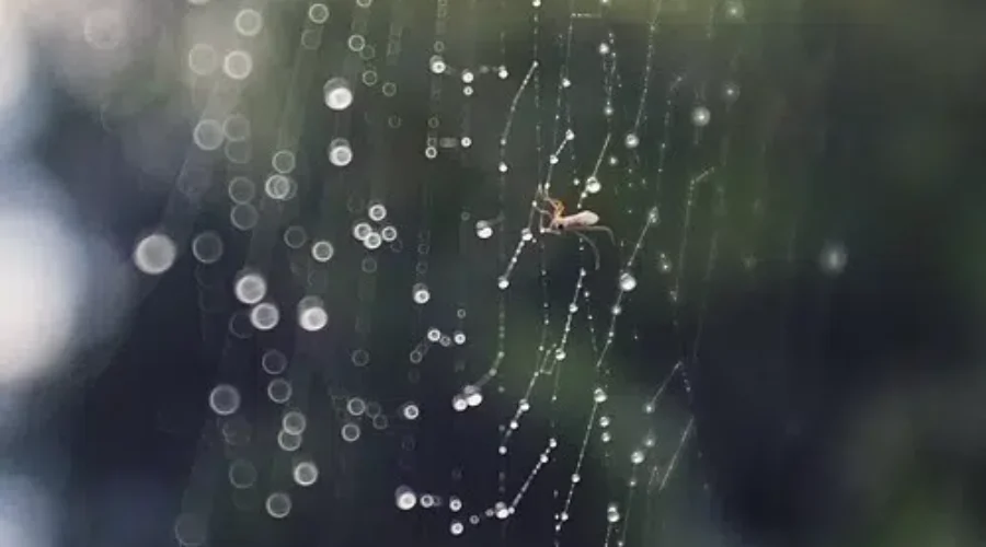 Heavy Rain Expected For Parts Of N.B.