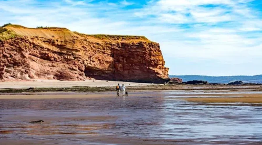 COVID-19 Will Be Devastating To N.B. Tourism