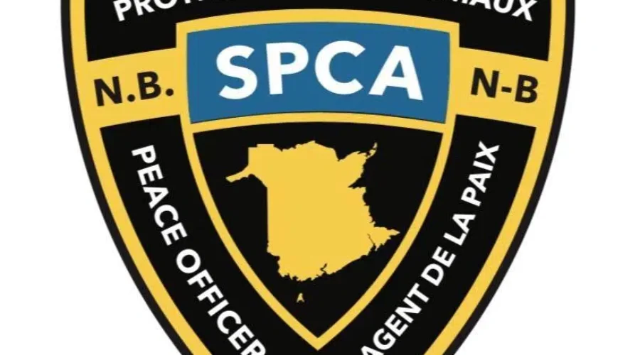 SPCA Seizes 61 Dogs In Northeastern N.B.
