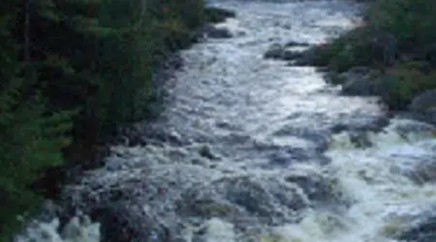 Pollett River Run Moved Online This Year