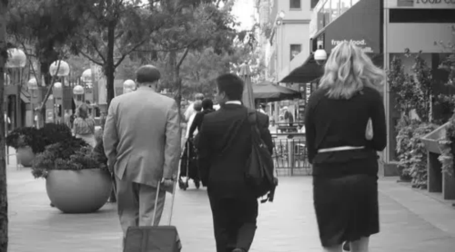 Business Survey Reflects COVID-19 Impact