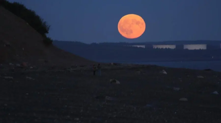 Sunday Night Astronomy Show Bringing Stars To Screens