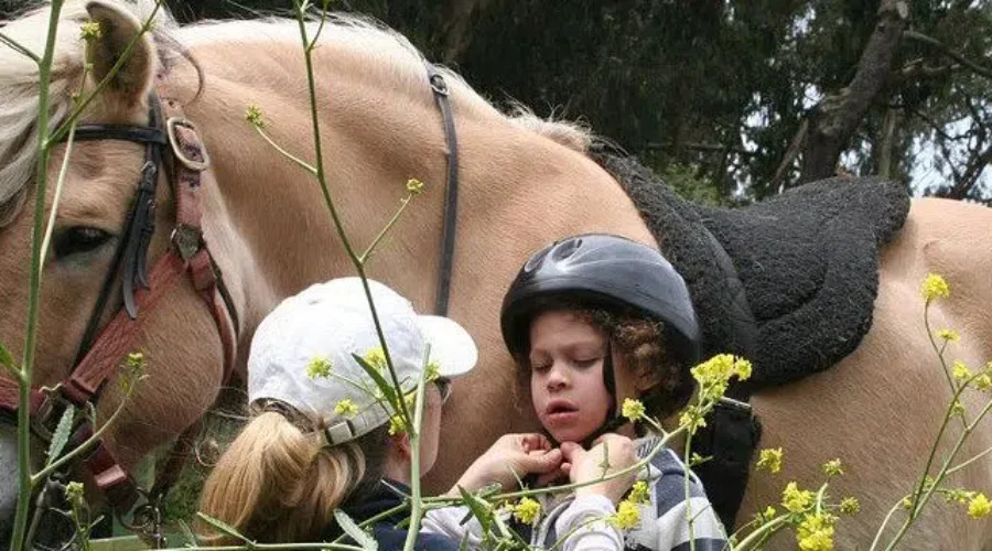 Shining Horizons Need Donations To Make Hay