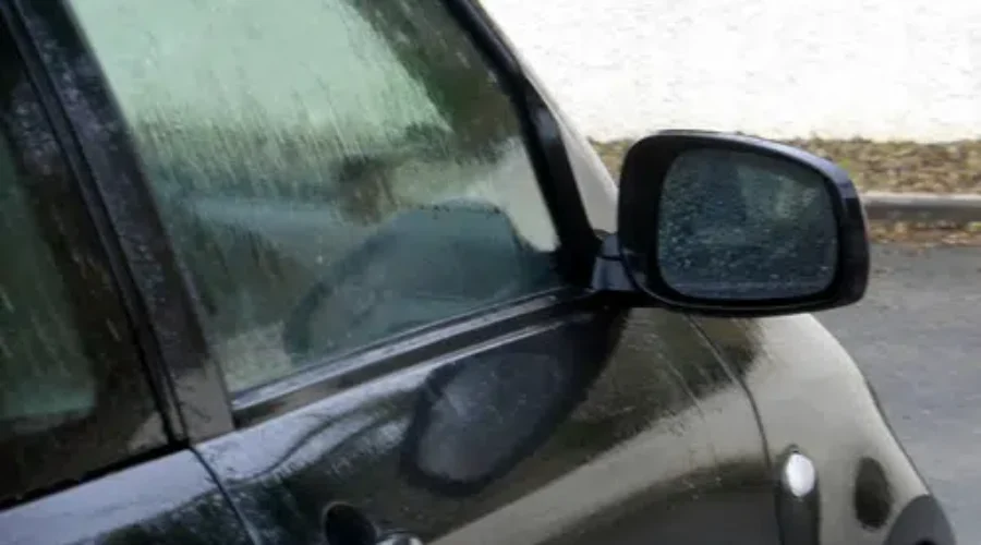 Class 5 Driver Tests Resume In N.B.