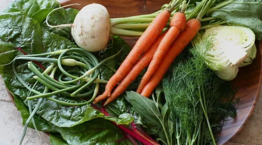 Pandemic Prompts Growing Interests In Gardening