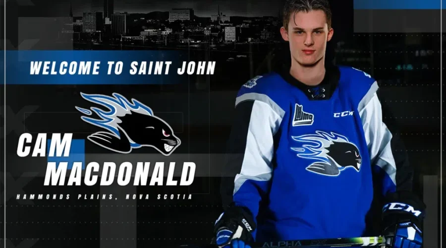 Sea Dogs Sign NCAA-Bound Forward