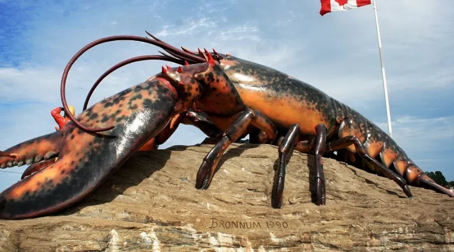 Communities Relying On Staycationers This Summer