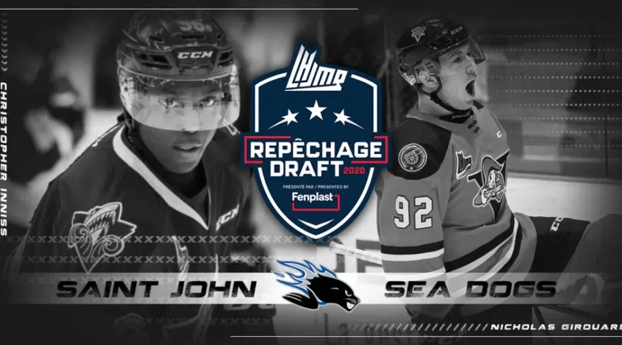 Sea Dogs Acquire Two Veteran Players