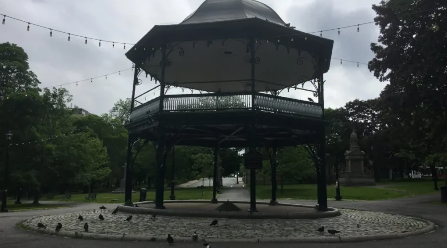 Man Climbed Bandstand And Couldn’t Get Down