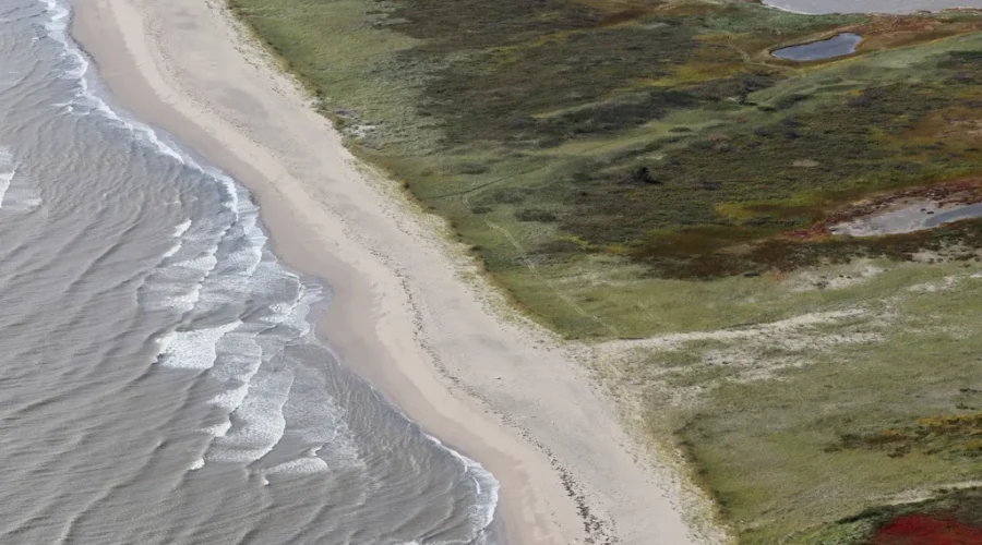 Nature Conservancy Expands Migratory Bird Conservation