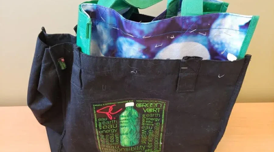 Cat Found Stapled Into Bag